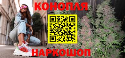 Альфа ПВП Нальчик