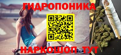спиды Новозыбков
