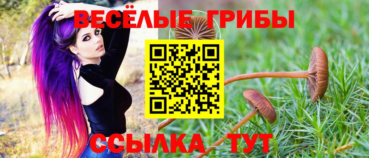 Сланцы  Галлюциногенные грибы MAGIC MUSHROOMS  Вход с VPN 
